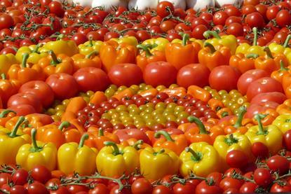 tomaten paprika - dido-ob_pixelio
