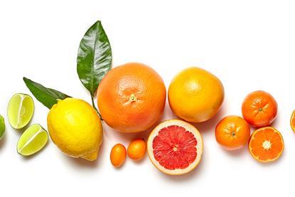 diverse Citrusfrüchte-Mara Zemgaliete_AdobeStock