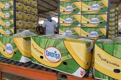 Ecuadorean bananas