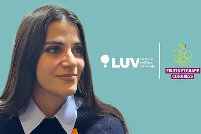 LUV FGC promo no text