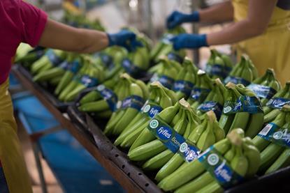 fyffes_esmeralda_banana_packhouse_labelling_sourcing_cluster_dsc_2477 Kopie