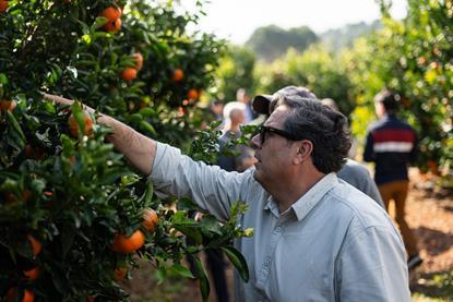 Genesis Fresh road trip B