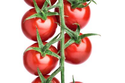 Tomaten