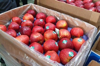 Turkish apples in India