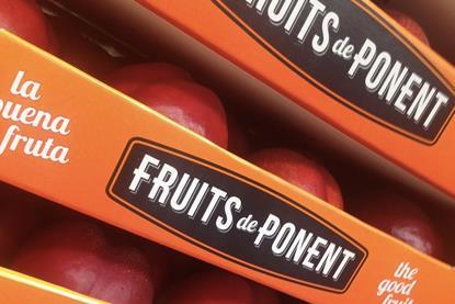 Spanish stonefruit