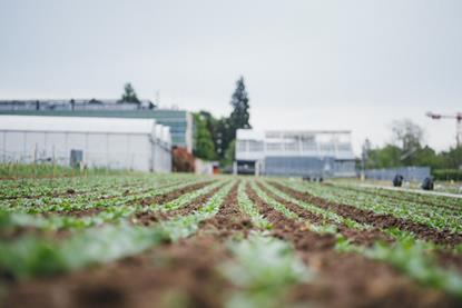 Klimaresiliente Böden
