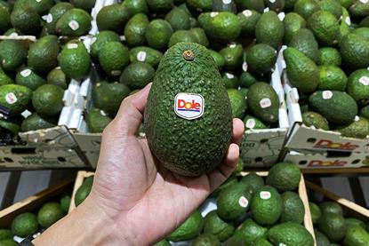 Hand holding Dole-branded avocado MUST CREDIT JCM - Adobe Stock