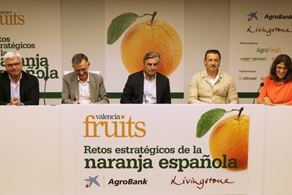 Valencia Fruits