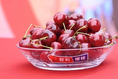 Chilean cherries A