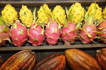 Pitahaya_Drachenfrucht_Fruit Logistica 2010