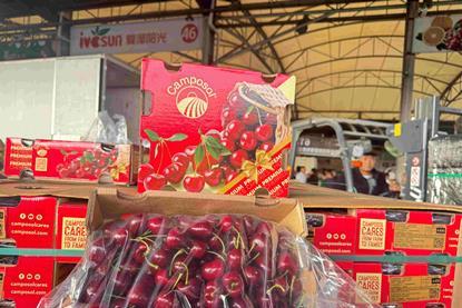 Camposol cherries China A