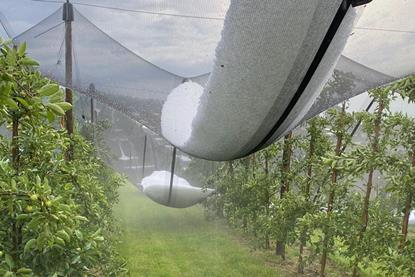 Hail Switzerland August 2026