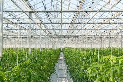 The construction of horticultural buildings could become easier