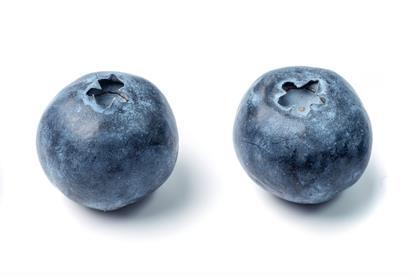 Heidelbeeren-ange1011-AdobeStock