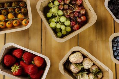 The EvoGrow range is suitable for berries as well as other fruits