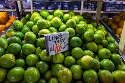 Brazil tahiiti limes AdobeStock_277977602