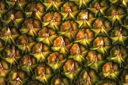 Ananas