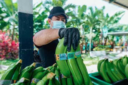 EC CREDIT Equifruit TAGS Fairtrade bananas
