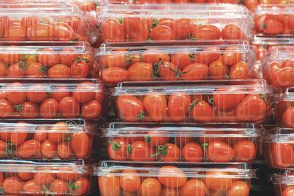 Tomatoes in unbranded clear plastic punnets