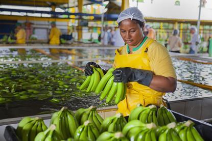 Fairtrade Foundation A