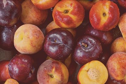 South African stonefruit