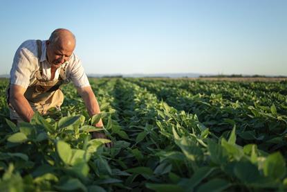 Hydro Fert farmer