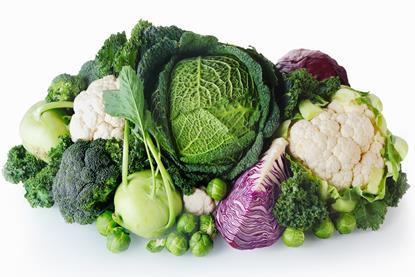 diverser Kohl-exclusive_design_ AdobeStock_76465407