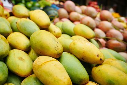 Adobe Stock Mangoes Bangladesh