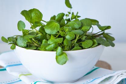 The research could lead to a major new avenue for watercress