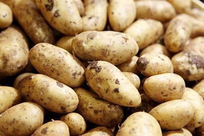Kartoffeln mit Erde