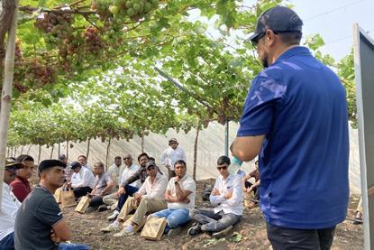 India Bloom Fresh field day