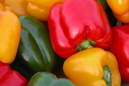 Paprika Spanien - W. Schmidt 1