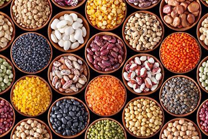 PGRO believes legumes have a bright future