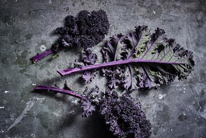 Purple kale whole leaf AH Worth