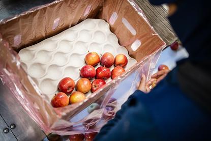 verpackte Äpfel