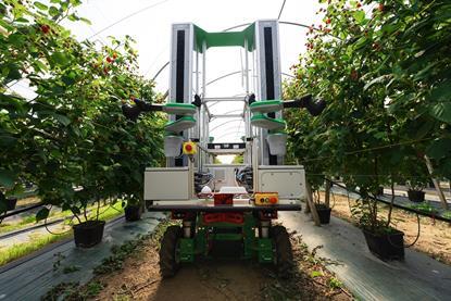 Fieldwork Robotics raspberrry picking robot 2025