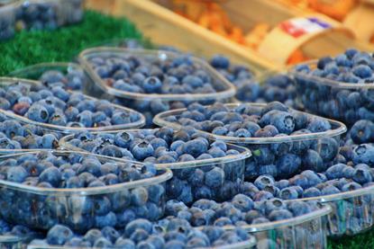 heidelbeeren polen