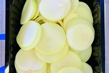 Zwiebeln in Scheiben