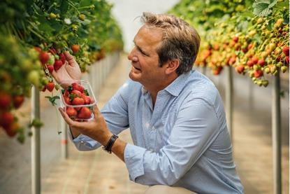Angus Soft Fruits chairman Lochy Porter with the award-winning AVA Magnum strawberries