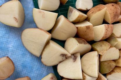 Cut potatoes showing the effects of potato mop top virus
