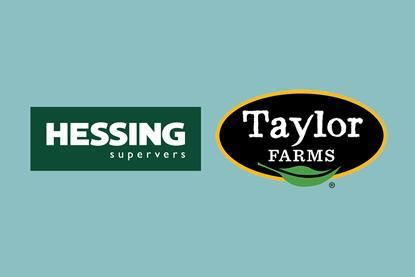 Hessing Taylor Farms