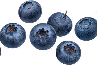 Heidelbeeren-xamtiw-AdobeStock_544386236