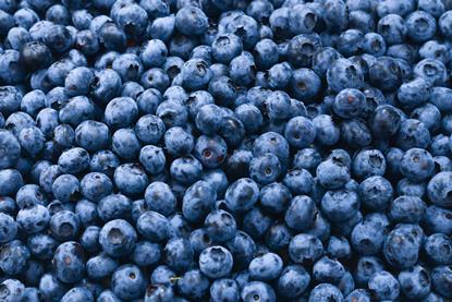 Blueberries Adobe Stock