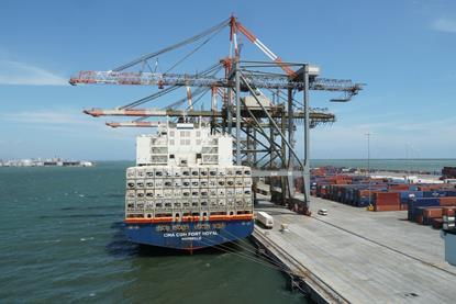Reefer containership Adobe Stock