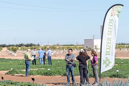 Tozer field days