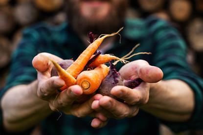 Some 79 per cent of UK consumers feel positive towards fruit and vegetable growers