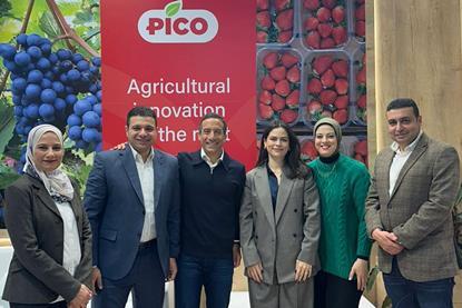 Pico team