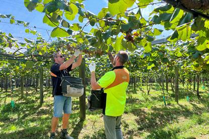 (l-r) Orchard manager Bruce Van Dorp and orchard foreman Arco Macgillivray