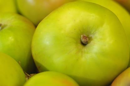 Armagh bramley apples