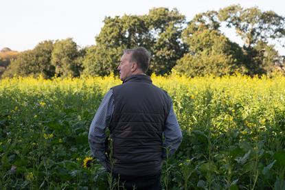Cover crops are an important tool for Jersey Royal Company's growers